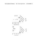 COSTIMULATION OF CHIMERIC ANTIGEN RECEPTORS BY MYD88 AND CD40 POLYPEPTIDES diagram and image