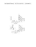 COSTIMULATION OF CHIMERIC ANTIGEN RECEPTORS BY MYD88 AND CD40 POLYPEPTIDES diagram and image