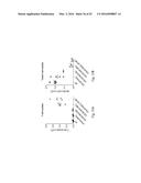 COSTIMULATION OF CHIMERIC ANTIGEN RECEPTORS BY MYD88 AND CD40 POLYPEPTIDES diagram and image