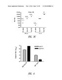 VACCINE COMPOSITION CONTAINING SYNTHETIC ADJUVANT diagram and image