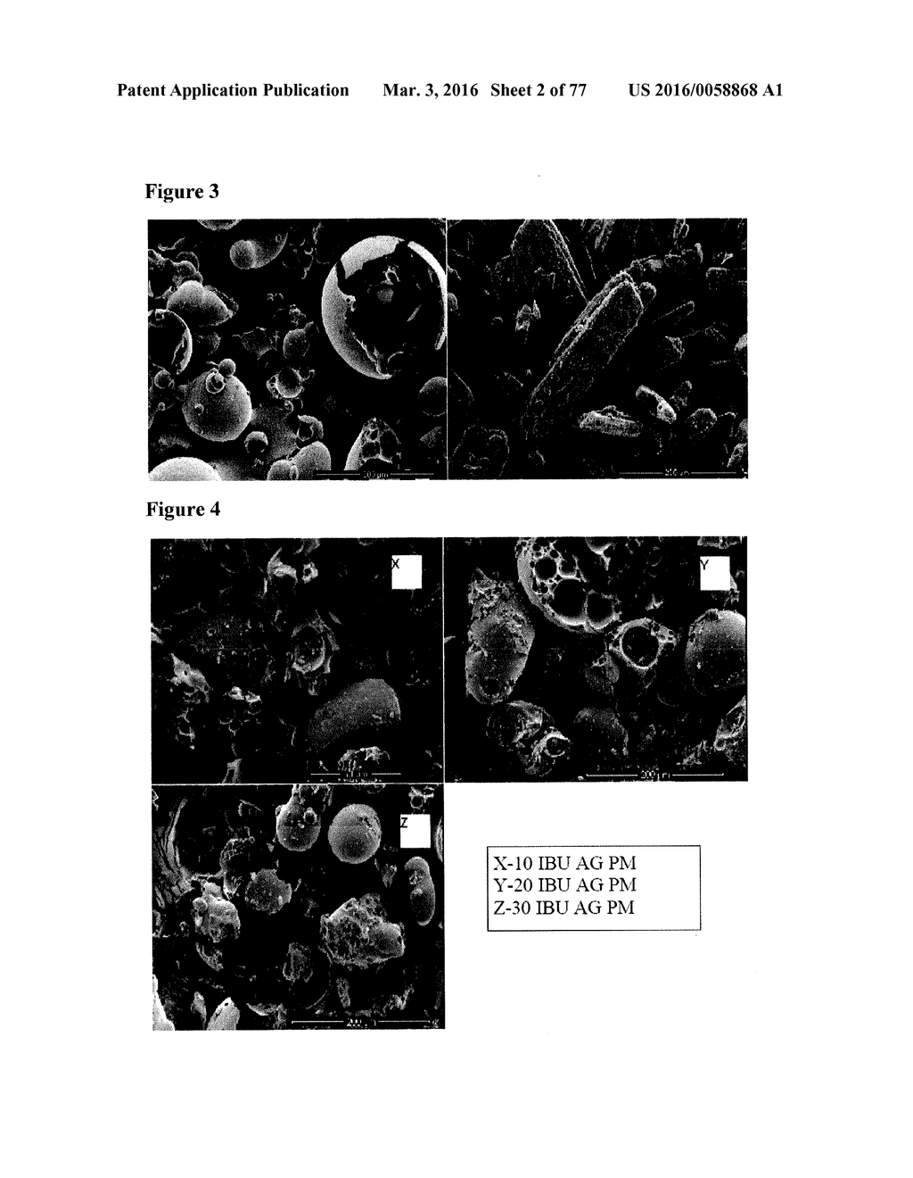 SOLID DOSAGE FORM CONTAINING ARABINOGALACTAN - diagram, schematic, and image 03