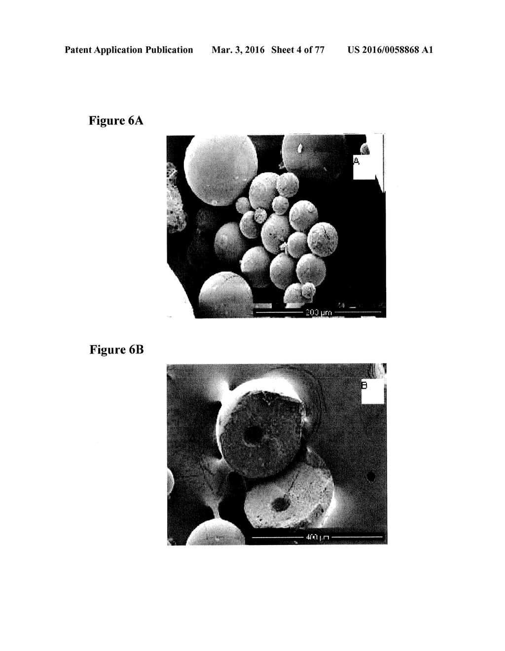 SOLID DOSAGE FORM CONTAINING ARABINOGALACTAN - diagram, schematic, and image 05