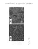 METHOD FOR DRUG LOADING HYDROXYAPATITE COATED IMPLANT SURFACES diagram and image