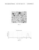 SURFACTANT MICROBUBBLES AND PROCESS FOR PREPARING AND METHODS OF USING THE     SAME diagram and image