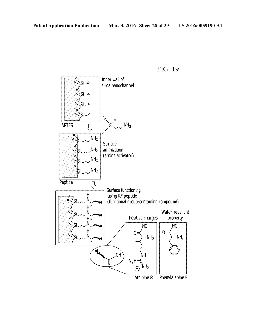 LIQUID FILTERING STRUCTURE - diagram, schematic, and image 29