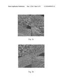 HYDROGENATION CATALYST AND METHOD OF MANUFACTURING THE SAME diagram and image