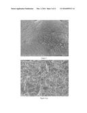 THERMOELECTRIC MATERIALS SYNTHESIZED BY SELF-PROPAGATING HIGH TEMPERATURE     SYNTHESIS PROCESS AND METHODS THEREOF diagram and image