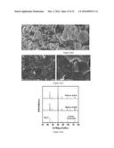 THERMOELECTRIC MATERIALS SYNTHESIZED BY SELF-PROPAGATING HIGH TEMPERATURE     SYNTHESIS PROCESS AND METHODS THEREOF diagram and image