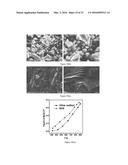 THERMOELECTRIC MATERIALS SYNTHESIZED BY SELF-PROPAGATING HIGH TEMPERATURE     SYNTHESIS PROCESS AND METHODS THEREOF diagram and image