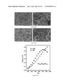 THERMOELECTRIC MATERIALS SYNTHESIZED BY SELF-PROPAGATING HIGH TEMPERATURE     SYNTHESIS PROCESS AND METHODS THEREOF diagram and image