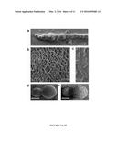 SELF-ASSEMBLED TUNABLE NETWORKS OF STICKY COLLOIDAL PARTICLES diagram and image