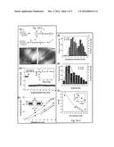 Coating of Graphene diagram and image