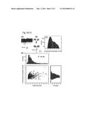 Coating of Graphene diagram and image