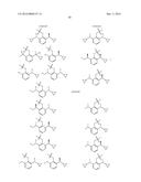 PHENOL DERIVATIVE AND PREPARATION METHOD AND USE IN MEDICINE THEREOF diagram and image