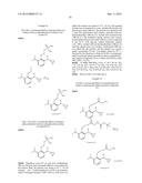 PHENOL DERIVATIVE AND PREPARATION METHOD AND USE IN MEDICINE THEREOF diagram and image