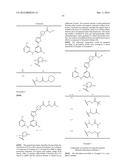 THIAZOLE-SUBSTITUTED AMINOPYRIMIDINES AS SPLEEN TYROSINE KINASE INHIBITORS diagram and image