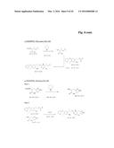 DIARYLSULFIDE BACKBONE CONTAINING PHOTOLABILE PROTECTING GROUPS diagram and image