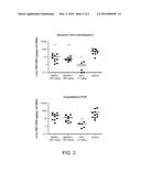 NUCLEOTIDE AND OLIGONUCLEOTIDE PRODRUGS diagram and image