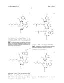 NUCLEOTIDE AND OLIGONUCLEOTIDE PRODRUGS diagram and image