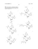 NUCLEOTIDE AND OLIGONUCLEOTIDE PRODRUGS diagram and image