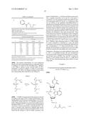 NUCLEOTIDE AND OLIGONUCLEOTIDE PRODRUGS diagram and image