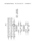 HUMAN FERRITIN-DERIVED FUSION POLYPEPTIDE diagram and image