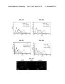 HUMAN FERRITIN-DERIVED FUSION POLYPEPTIDE diagram and image