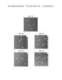 HUMAN FERRITIN-DERIVED FUSION POLYPEPTIDE diagram and image