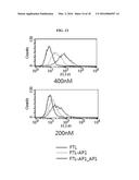 HUMAN FERRITIN-DERIVED FUSION POLYPEPTIDE diagram and image