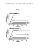 HUMAN FERRITIN-DERIVED FUSION POLYPEPTIDE diagram and image