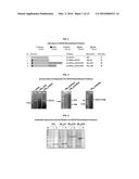 Development of Protein-Based Biotherapeutics That Penetrates Cell-Membrane     and Induces Anti-Pancreatic Cancer Effect - Improved Cell-Permeable     Suppressor of Cytokine Signaling (iCP-SOCS3) Proteins, Polynucleotides     Encoding the Same, and Anti-Pancreatic Cancer Compositions Comprising the     Same diagram and image