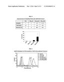 Development of Protein-Based Biotherapeutics That Penetrates Cell-Membrane     and Induces Anti-Pancreatic Cancer Effect - Improved Cell-Permeable     Suppressor of Cytokine Signaling (iCP-SOCS3) Proteins, Polynucleotides     Encoding the Same, and Anti-Pancreatic Cancer Compositions Comprising the     Same diagram and image