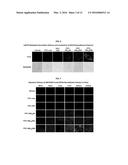 Development of Protein-Based Biotherapeutics That Penetrates Cell-Membrane     and Induces Anti-Pancreatic Cancer Effect - Improved Cell-Permeable     Suppressor of Cytokine Signaling (iCP-SOCS3) Proteins, Polynucleotides     Encoding the Same, and Anti-Pancreatic Cancer Compositions Comprising the     Same diagram and image