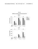 Development of Protein-Based Biotherapeutics That Penetrates Cell-Membrane     and Induces Anti-Pancreatic Cancer Effect - Improved Cell-Permeable     Suppressor of Cytokine Signaling (iCP-SOCS3) Proteins, Polynucleotides     Encoding the Same, and Anti-Pancreatic Cancer Compositions Comprising the     Same diagram and image