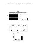 Development of Protein-Based Biotherapeutics That Penetrates Cell-Membrane     and Induces Anti-Pancreatic Cancer Effect - Improved Cell-Permeable     Suppressor of Cytokine Signaling (iCP-SOCS3) Proteins, Polynucleotides     Encoding the Same, and Anti-Pancreatic Cancer Compositions Comprising the     Same diagram and image