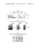 Development of a Protein-Based Biotherapeutic Agent That Penetrates     Cell-Membrane and Induces Anti-Tumor Effect in Solid Tumors - Improved     Cell-Permeable Suppressor of Cytokine Signaling (iCP-SOCS3) Proteins,     Polynucleotides Encoding the Same, and Anti-Tumor Compositions Comprising     the Same diagram and image