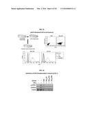 Development of a Protein-Based Biotherapeutic Agent That Penetrates     Cell-Membrane and Induces Anti-Tumor Effect in Solid Tumors - Improved     Cell-Permeable Suppressor of Cytokine Signaling (iCP-SOCS3) Proteins,     Polynucleotides Encoding the Same, and Anti-Tumor Compositions Comprising     the Same diagram and image