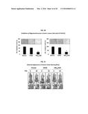 Development of a Protein-Based Biotherapeutic Agent That Penetrates     Cell-Membrane and Induces Anti-Tumor Effect in Solid Tumors - Improved     Cell-Permeable Suppressor of Cytokine Signaling (iCP-SOCS3) Proteins,     Polynucleotides Encoding the Same, and Anti-Tumor Compositions Comprising     the Same diagram and image