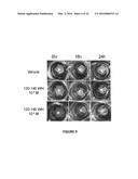 PEPTIDE COMPOUNDS AND METHODS OF PRODUCTION AND USE THEREOF diagram and image