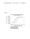 NOVEL NEURTURIN CONJUGATES FOR PHARMACEUTICAL USE diagram and image