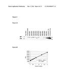 NOVEL NEURTURIN CONJUGATES FOR PHARMACEUTICAL USE diagram and image