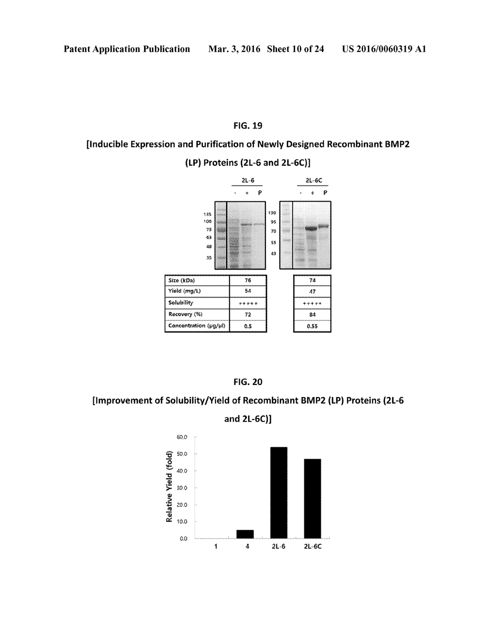 Development of Protein-Based Biotherapeutics That Induced Osteogenesis for     Bone Healing Therapy: Cell-Permeable BMP2 and BMP7 Recombinant Proteins     (CP-BMP2 & CP-BMP7), Polynucleotides Encoding the Same and Pro-osteogenic     Compositions Comprising the Same - diagram, schematic, and image 11