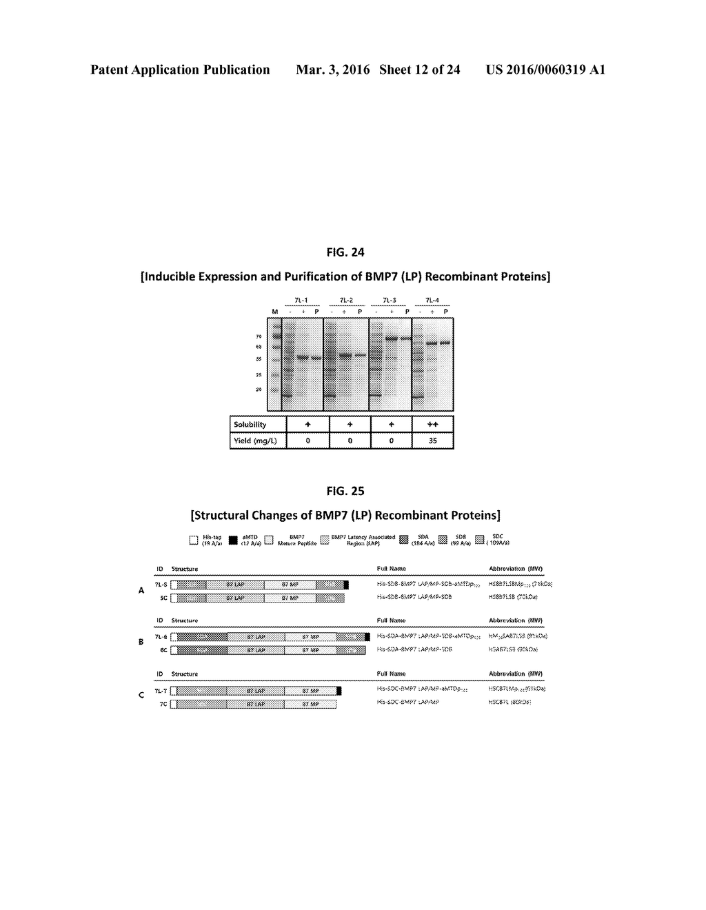 Development of Protein-Based Biotherapeutics That Induced Osteogenesis for     Bone Healing Therapy: Cell-Permeable BMP2 and BMP7 Recombinant Proteins     (CP-BMP2 & CP-BMP7), Polynucleotides Encoding the Same and Pro-osteogenic     Compositions Comprising the Same - diagram, schematic, and image 13