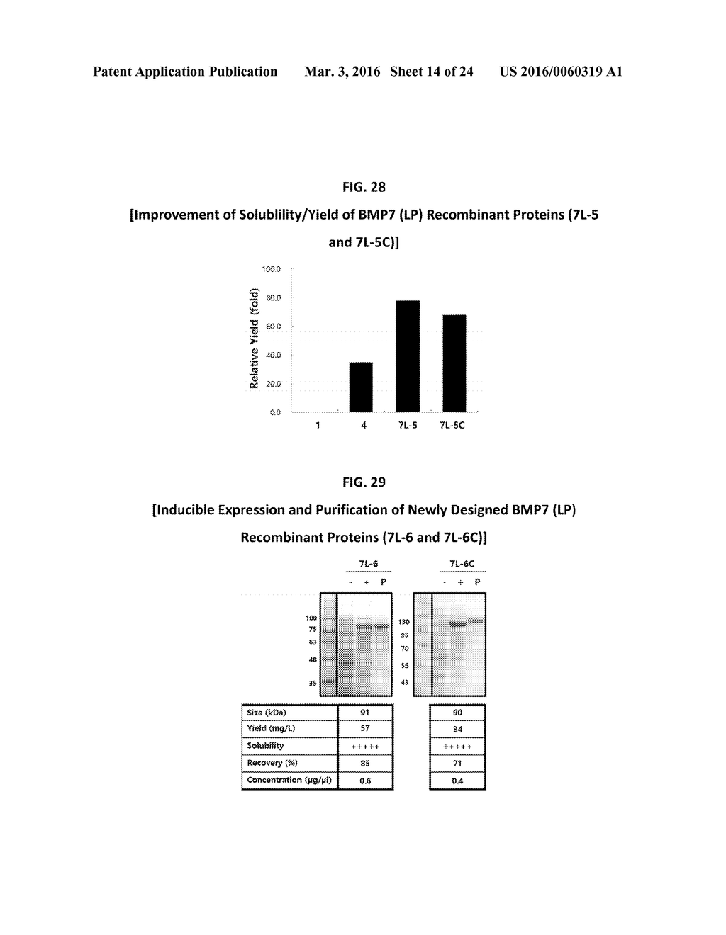 Development of Protein-Based Biotherapeutics That Induced Osteogenesis for     Bone Healing Therapy: Cell-Permeable BMP2 and BMP7 Recombinant Proteins     (CP-BMP2 & CP-BMP7), Polynucleotides Encoding the Same and Pro-osteogenic     Compositions Comprising the Same - diagram, schematic, and image 15