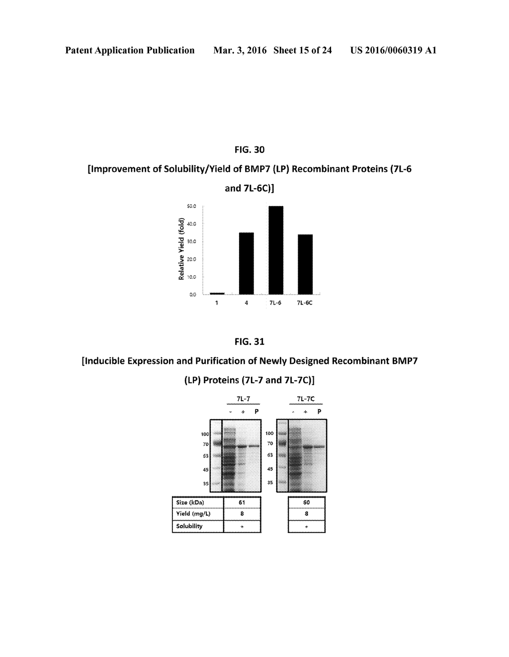 Development of Protein-Based Biotherapeutics That Induced Osteogenesis for     Bone Healing Therapy: Cell-Permeable BMP2 and BMP7 Recombinant Proteins     (CP-BMP2 & CP-BMP7), Polynucleotides Encoding the Same and Pro-osteogenic     Compositions Comprising the Same - diagram, schematic, and image 16