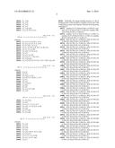 THERAPEUTIC DLL4 BINDING PROTEINS diagram and image