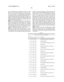 THERAPEUTIC DLL4 BINDING PROTEINS diagram and image