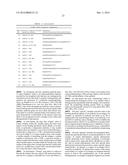 THERAPEUTIC DLL4 BINDING PROTEINS diagram and image