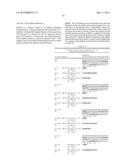 THERAPEUTIC DLL4 BINDING PROTEINS diagram and image