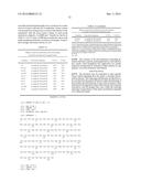 THERAPEUTIC DLL4 BINDING PROTEINS diagram and image